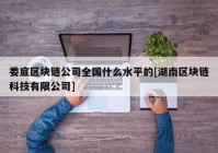 娄底区块链公司全国什么水平的[湖南区块链科技有限公司]